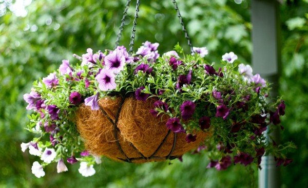 balkong växter-arrangera hängande korg blomkruka hängande metallram