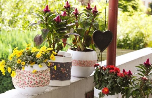 balkongväxter blomkrukor dekoration idéer-gör-det-själv