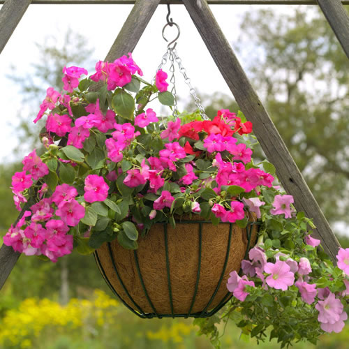 intressanta idéer för hängande korgar i trädgården med rosa blommor