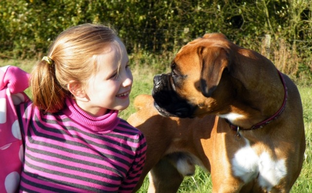tjej-boxare-hund-vänner-familjemedlem