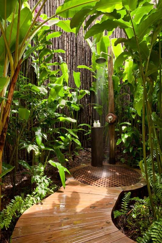 Dusch trädgård tropisk atmosfär trä vegetation