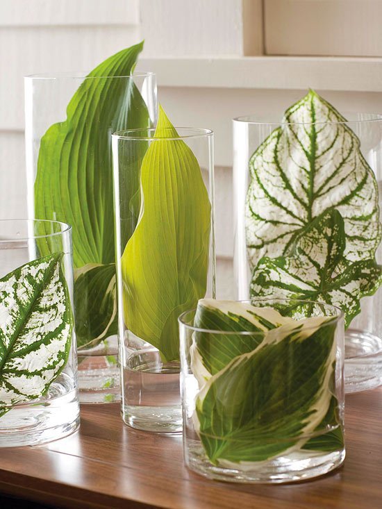 Gröna blad i glasögon-med vattensatta dekorationsidéhyllor