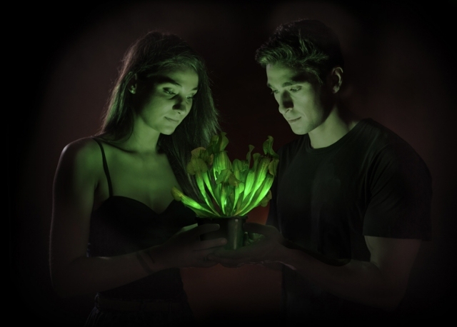genetiskt modifierade växtljus bioglow starlight avatar