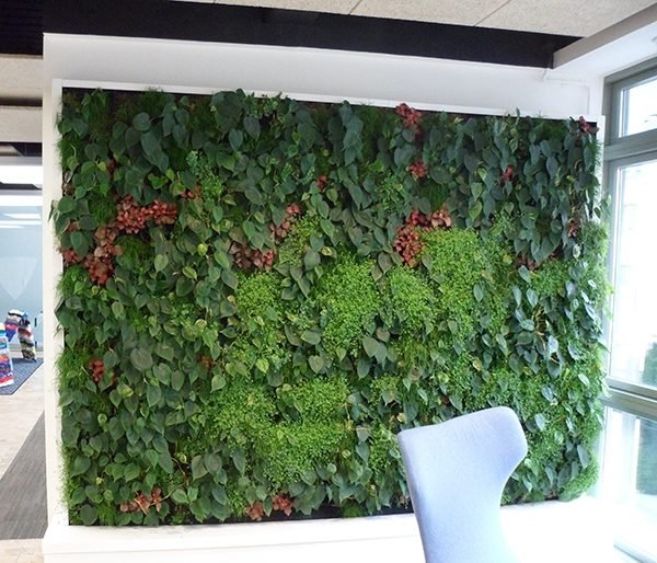 torra blommor grön vägg som arkitektoniskt element