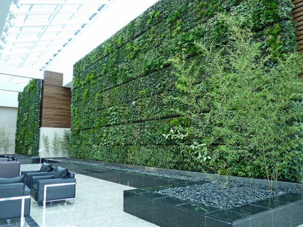 modern lobbygrön vägg som ett arkitektoniskt element