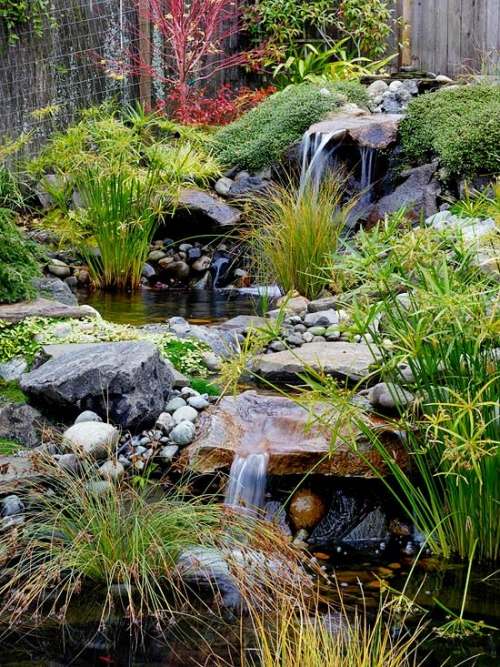 huvudelement i japan trädgård för vattenbruk för självanvändning