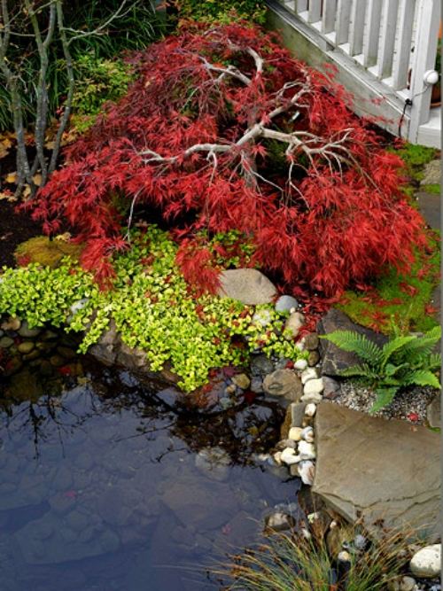 huvudelement japan trädgård för själv användning röda element