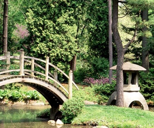 Huvudelement japan trädgård för egen användning bro