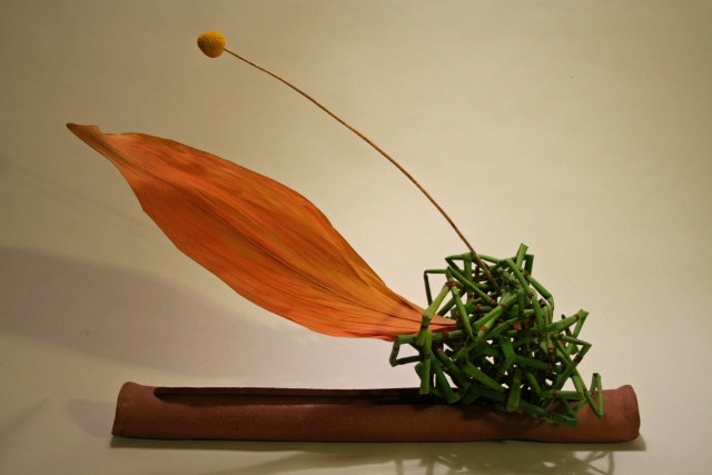 vacker komposition orange bladgrön tre huvudtyper