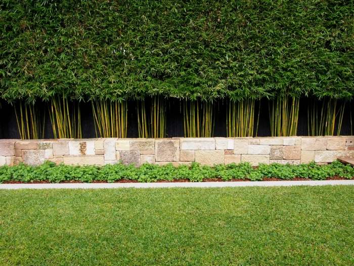 bambu häck design trädgård idé vägg låg deco