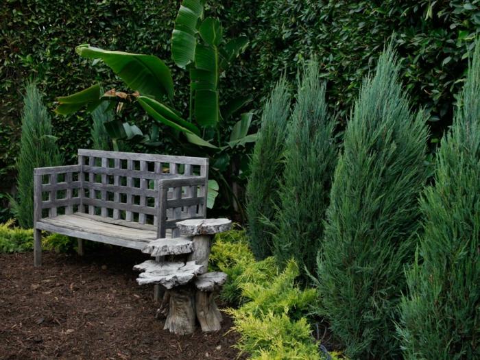 sittgrupp häckar dekoration banan trä bänk trädgård idé
