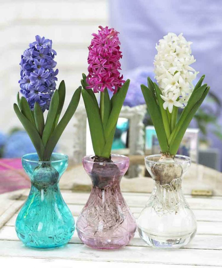 färgglada vaser och blommor i olika färger