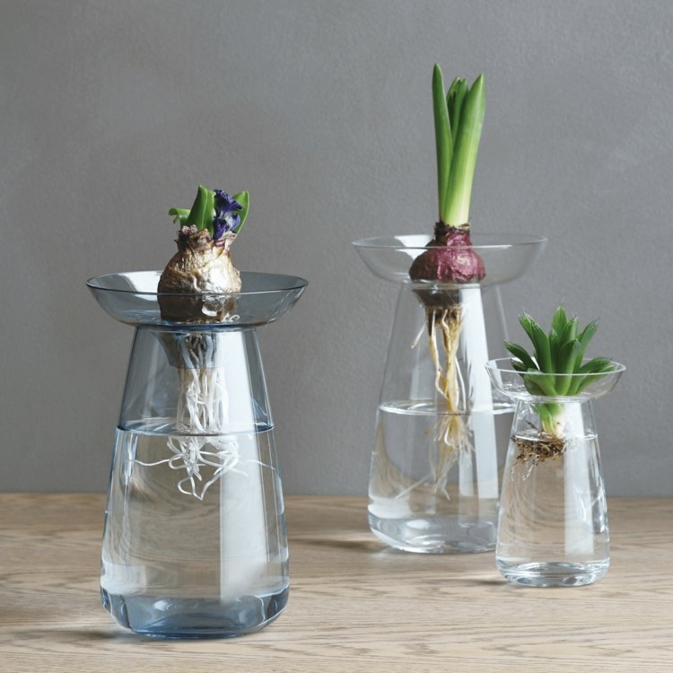 Original vas med en skålformad spets för olika blommor