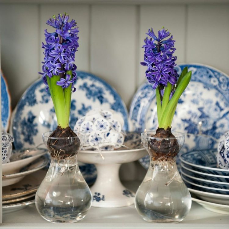 dekorera med vårblommor i lila och blått