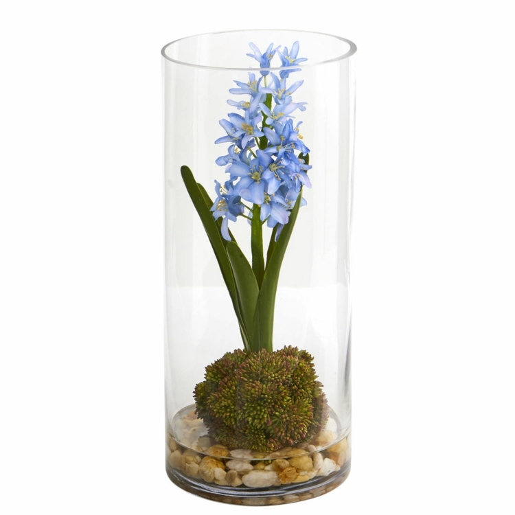 En idé till hyacinten i ett glas med grus och mossa