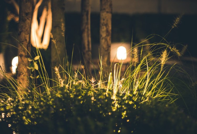 ledde trädgårdsbelysning idé lampor trädgård väg