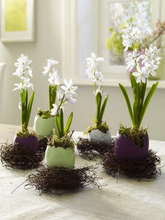 dekorera äggskal-vas design-idéer inomhusväxter