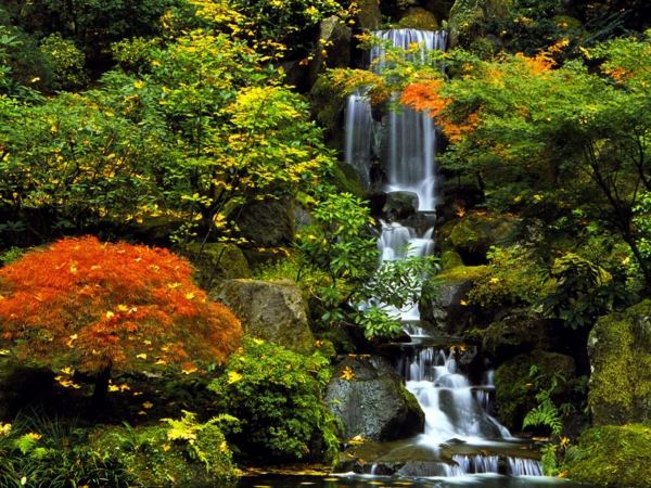 Magiskt vattenfall i den japanska trädgården