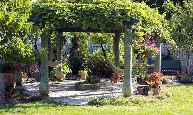 pergola-i-trädgården-växter-hängmattor-att koppla av