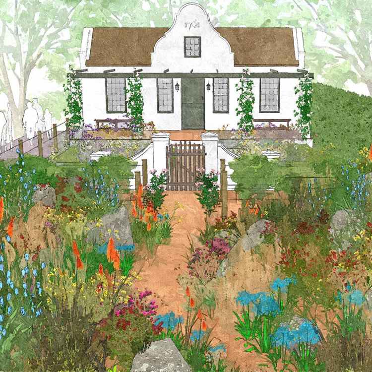 Naturlig trädgård skiss hus stil Sydafrika Kapstaden