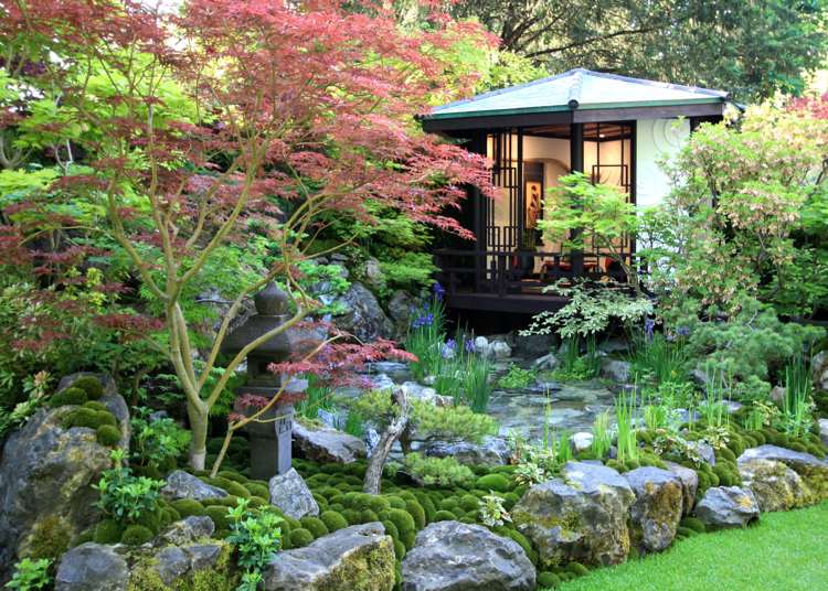 Japansk trädgård design paviljong moss iris stenblock damm