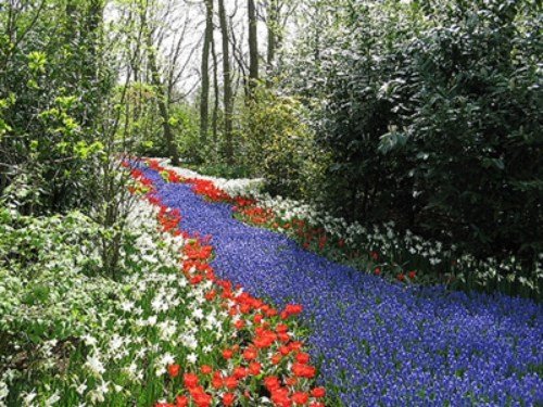 semestermål våren i holland blommor sätt
