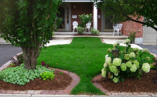 Dekorativa gräsmattor Idéer för design av trädgården öppen utan staket