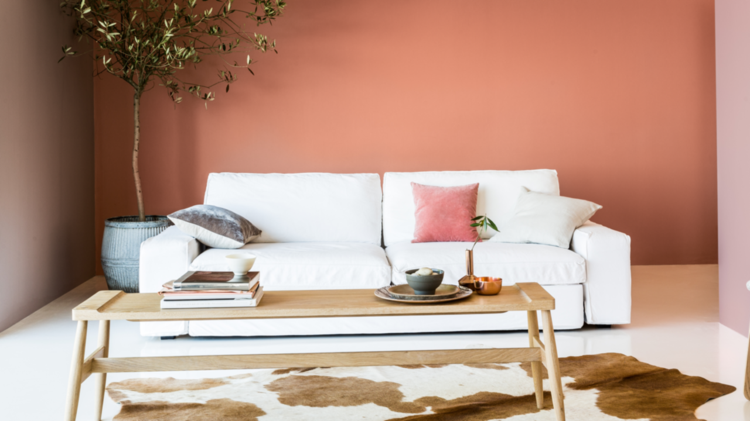 väggfärg aprikos vit soffa päls dekoration växt soffbord trä