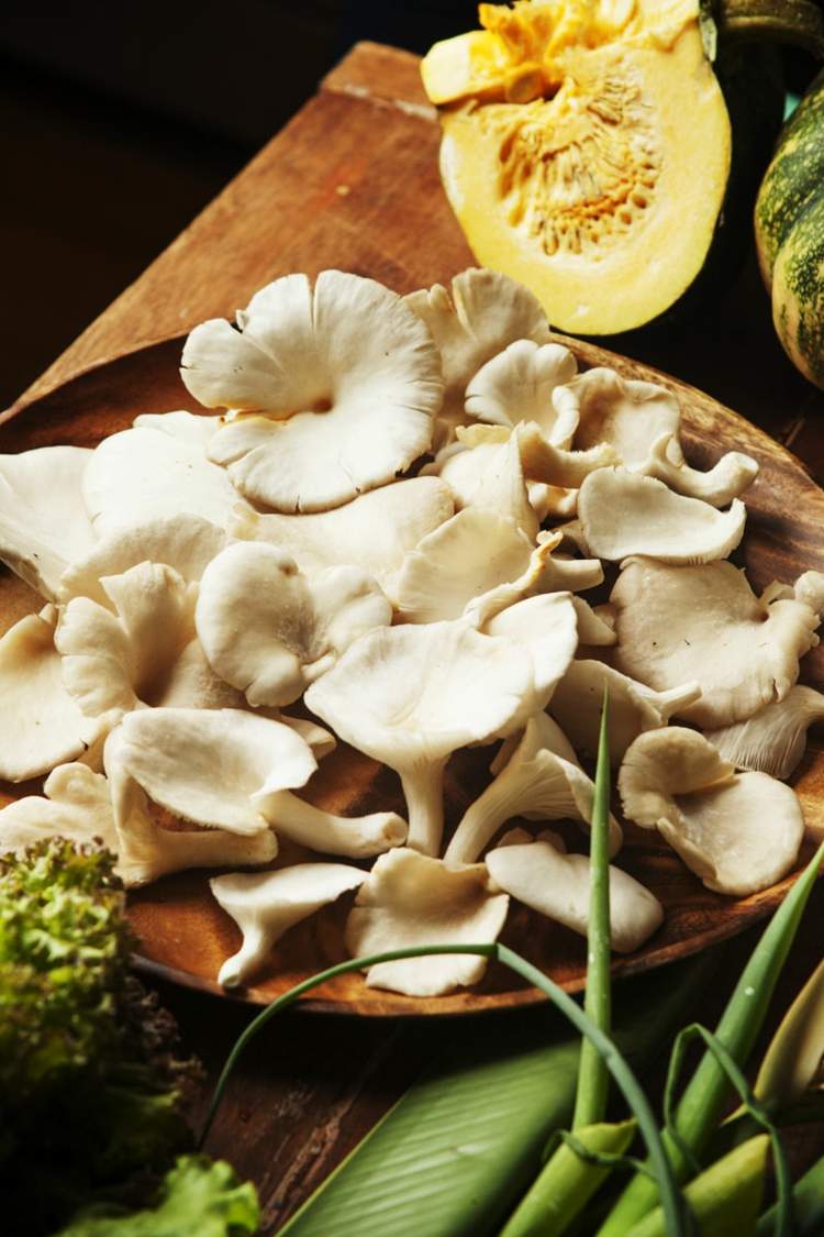 lågkolhydratberedning mångsidig ätlig svamp ostronsvamp med mycket protein