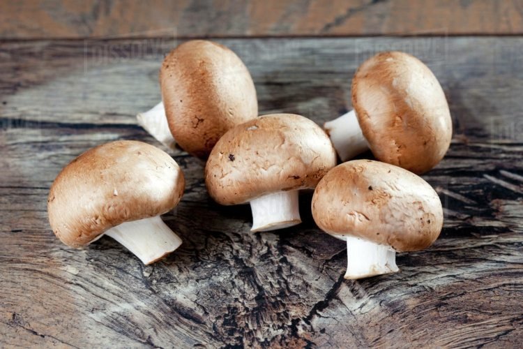 crimini svampar vitaminer mineraler aromatiska ätliga svampar
