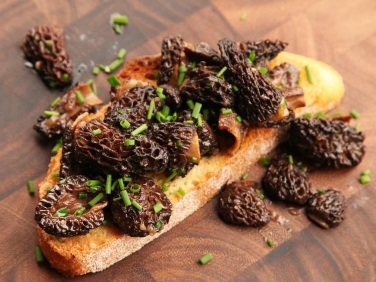 ätliga svampar moreller aromatiska dietproteinleverantör