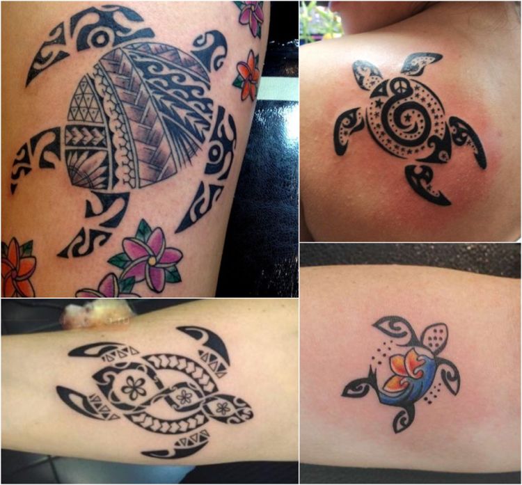 Maorie tatueringar turtle tribals kvinnor frangipani blommor