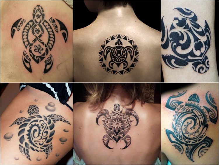 Maorie tatueringar sköldpadda kvinnor betyder livslängd visdom