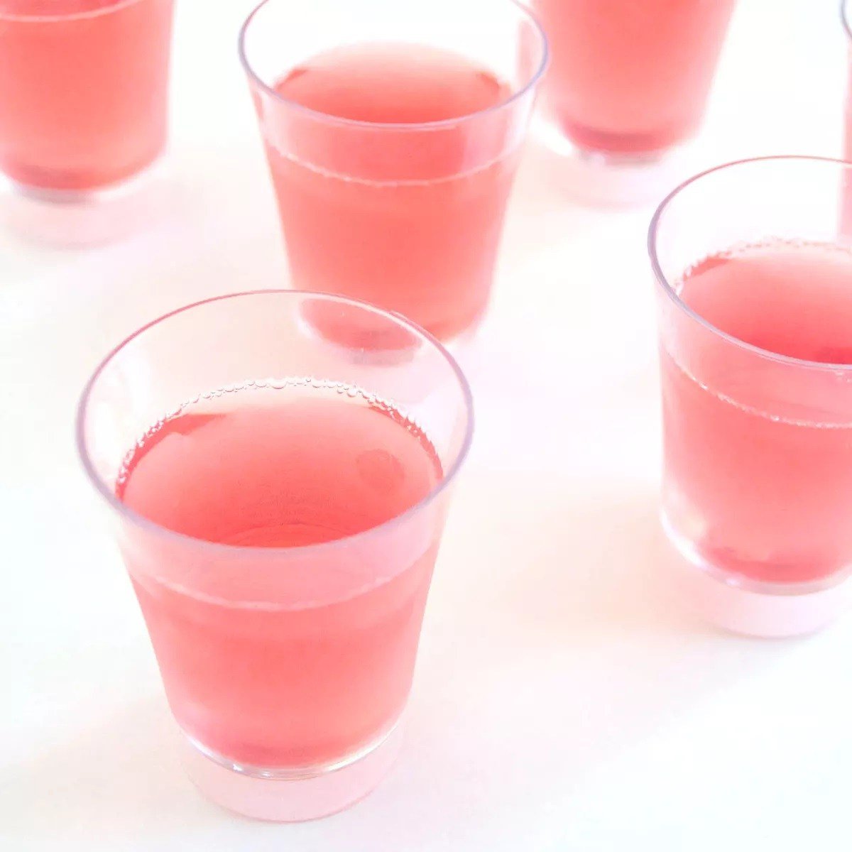 Gelé gjord av vattenmelon och mousserande vin för rosa skott