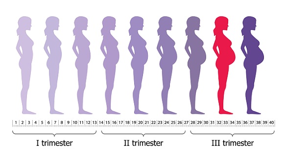 τροφές προς αποφυγή-8ος μήνας Εγκυμοσύνη