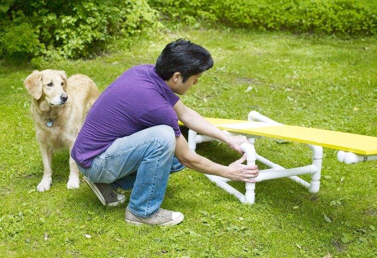 smidighet parcour diy bygg din egen hund parcour skapa en vippställning en träplatta på stödben med en bar