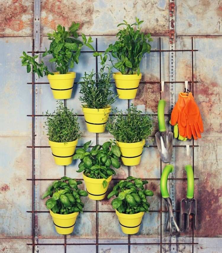 DIY-idéer för trädgårdsspaljen-vägg-gul-lera-kruka-örter