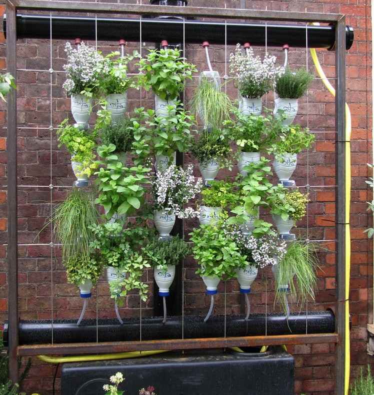 DIY-idéer-vertikal-trädgård-plast-flaska-växter