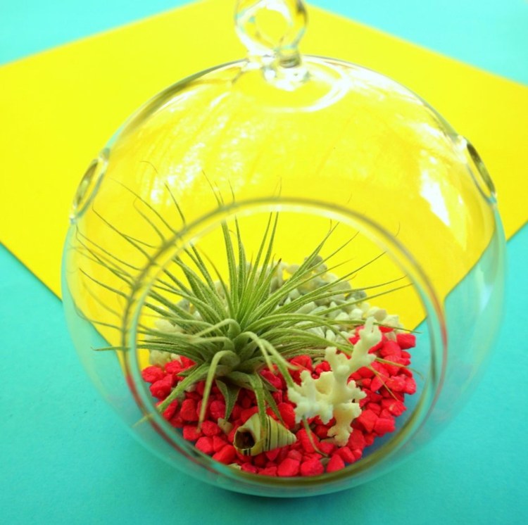 växt terrarium DIY idé arrangemang inspiration tropisk semester