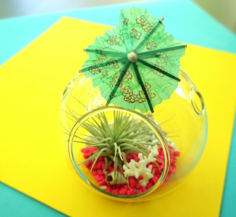 DIY terrarium med växtdekorationsidé cocktailparaply