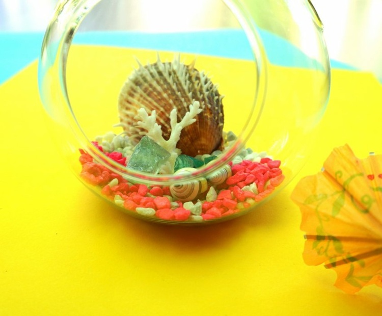terrarium växt diy arrangemang dekoration skal korallskal stenar