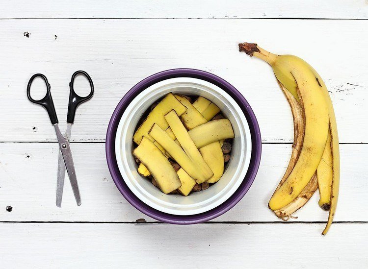 Gör ditt eget gödningsmedel av bananskal och låt det torka