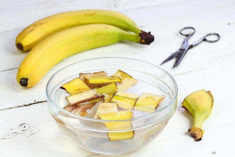 Gör gödsel från bananskal själv, hacka upp det