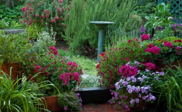 Doftande växter-trädgård-skapa-rosmarin-fuchsior