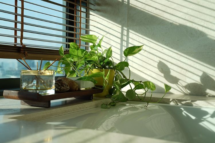 installera dusch framför fönster badrum installera integritetsskärm persienner släpp ljus genom