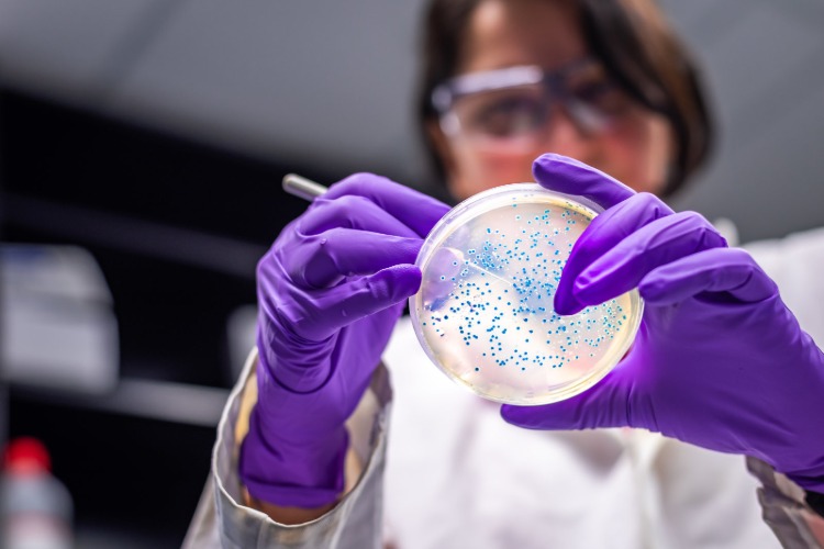 Forskare utvecklar colibakterier i laboratoriet för att konsumera co2