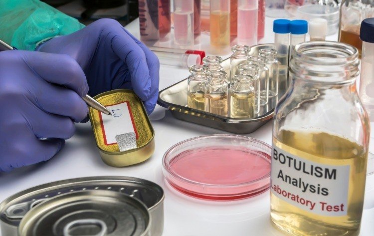 Forskare i laboratoriet beskriver prover från tarmbakterier