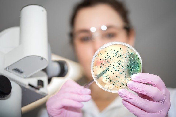 ung laboratorietekniker mikrobiologi e coli nissle stam användbar forskning