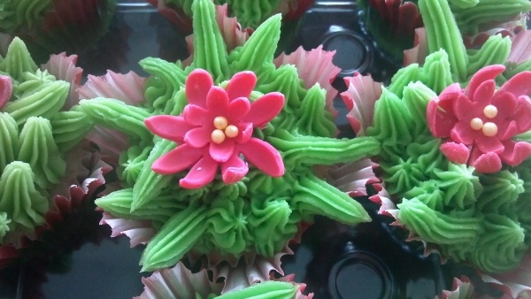 blommande-kaktus-muffins-förbered dig-idé