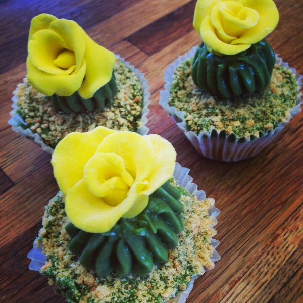 kaktus-blommade-gula-muffins-muffins-idé